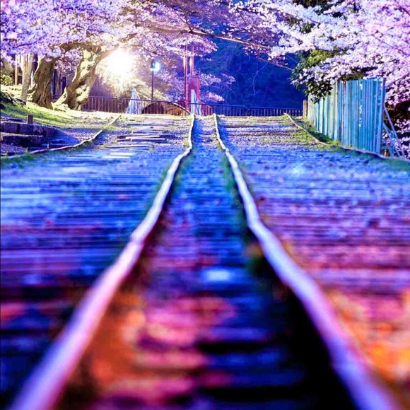 Meet your Posher, Ashley - Picture 1 of 1